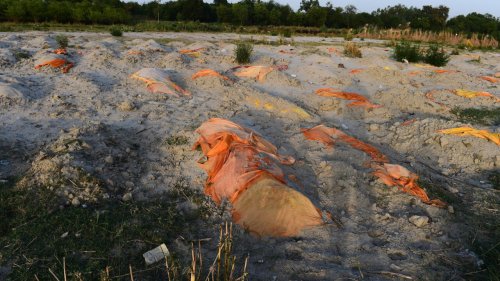 India’s vernacular reporters unearth devastating reality of Covid in rural areas