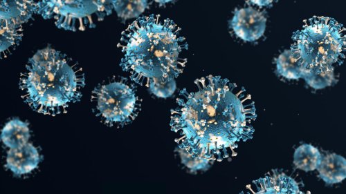 Covid-19 : comment le coronavirus détruit des neurones essentiels pour la fertilité et la cognition