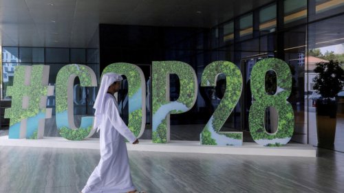 Afrique économie - COP28: l'Afrique au défi de la transition énergétique