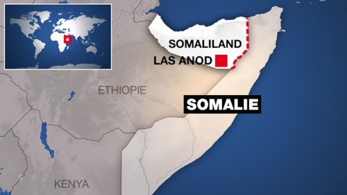 Le Conseil de sécurité de l'ONU demande le retrait du Somaliland de la ville de Las Anod