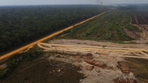 Des banques françaises accusées de financer la déforestation en Amazonie