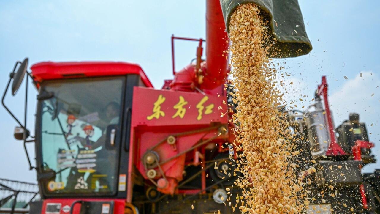 Chronique des matières premières – La Chine cherche à mieux maîtriser ses importations agricoles