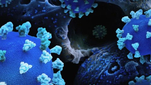 Priorité santé - Maladies infectieuses émergentes : les défis de la recherche internationale