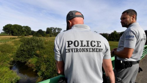 France: le gouvernement présente des mesures pour renouer le dialogue entre les agriculteurs et l'OFB