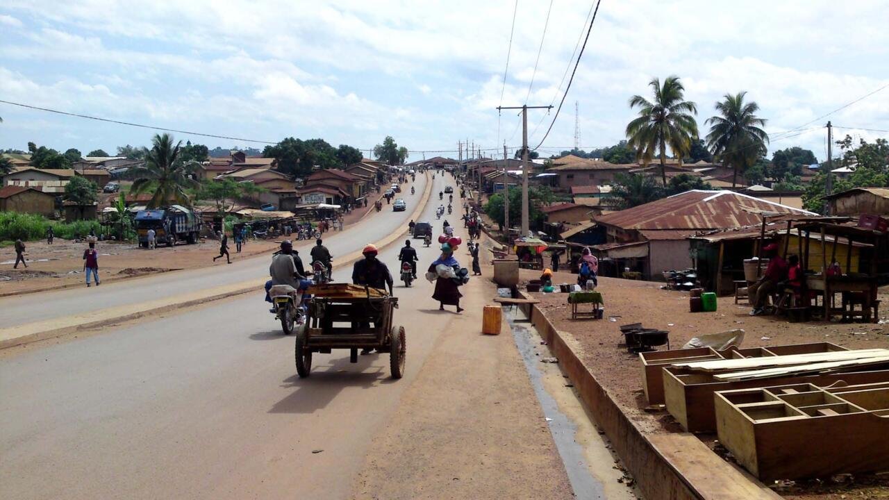 Guinée: nouvelle flambée de violence entre éleveurs et agriculteurs en Guinée forestière