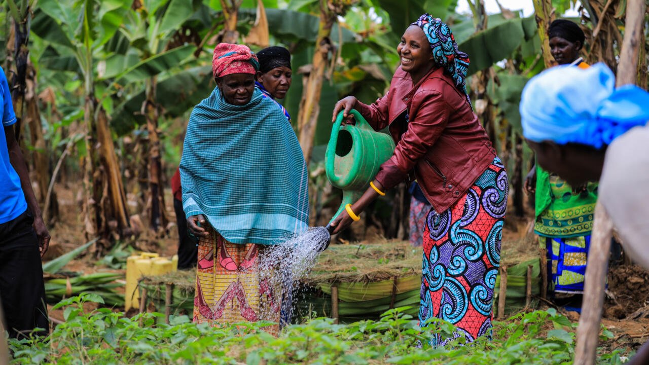 L’Afrique en marche – Au Rwanda, bien nourrir la terre pour bien se nourrir soi-même