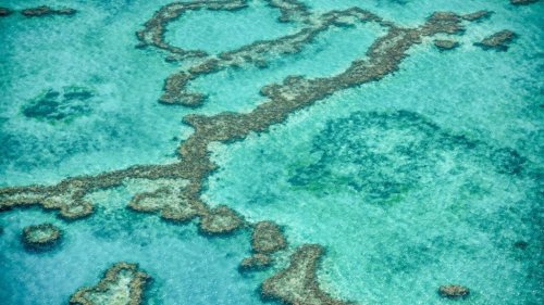 L'Australie débourse 700 millions de dollars pour la protection de la Grande Barrière de corail