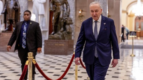 États-Unis: les démocrates en ordre dispersés après le non au «shutdown»