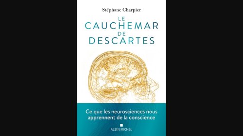 Autour de la question, le magazine de toutes les sciences - D’où vient la conscience ?