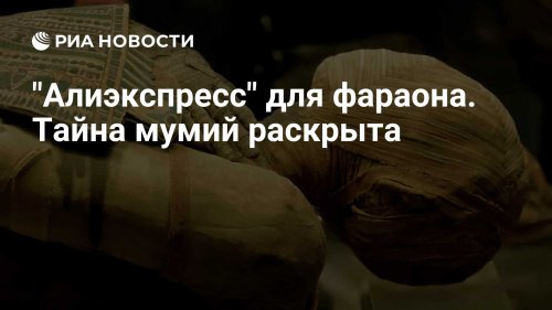 "Алиэкспресс" для фараона. Тайна мумий раскрыта