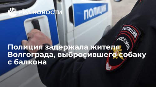 Полиция задержала жителя Волгограда, выбросившего собаку с балкона