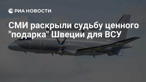 СМИ раскрыли судьбу ценного "подарка" Швеции для ВСУ