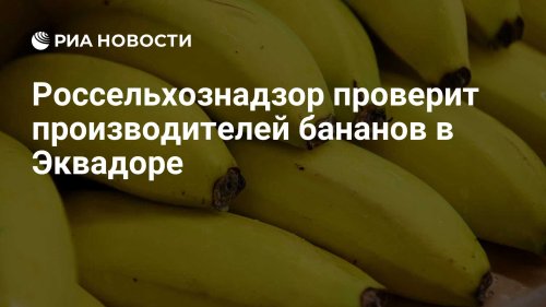 Россельхознадзор проверит производителей бананов в Эквадоре