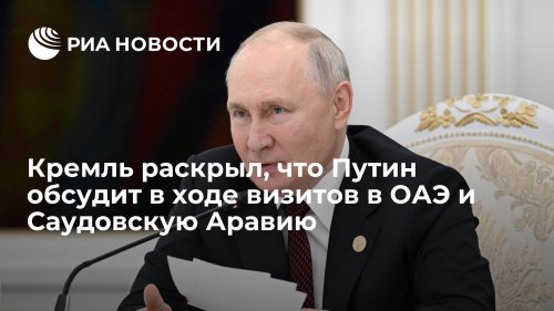 Кремль раскрыл, что Путин обсудит в ходе визитов в ОАЭ и Саудовскую Аравию