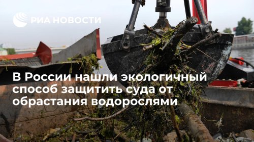 В России нашли экологичный способ защитить суда от обрастания водорослями