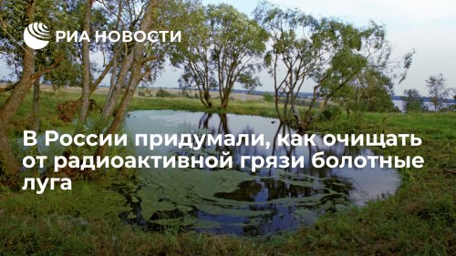 В России придумали, как очищать от радиоактивной грязи болотные луга