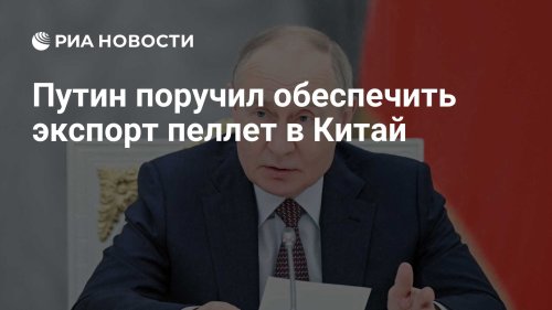 Путин поручил обеспечить экспорт пеллет в Китай