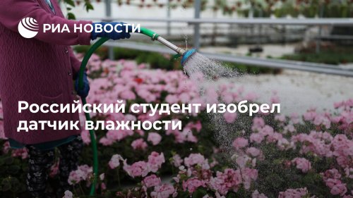 Российский студент изобрел датчик влажности