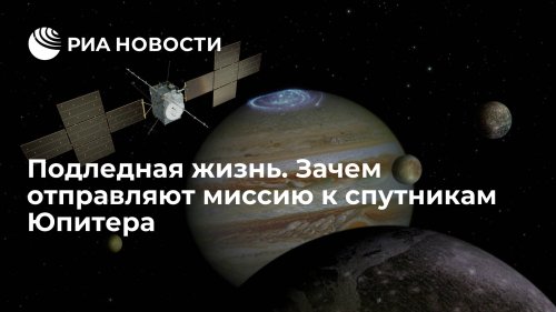 Подледная жизнь.