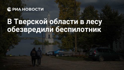 В Тверской области в лесу обезвредили беспилотник