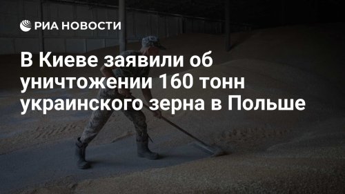 В Киеве заявили об уничтожении 160 тонн украинского зерна в Польше