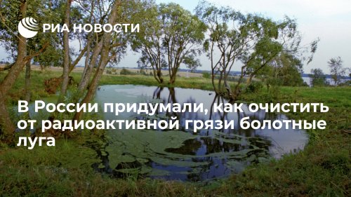 В России придумали, как очистить от радиоактивной грязи болотные луга