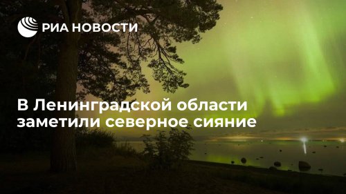 В Ленинградской области заметили северное сияние