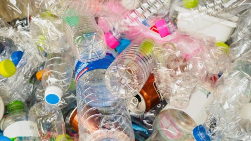 Neues Recyclingverfahren für Plastik: Ist das der Weg aus der Müllflut?