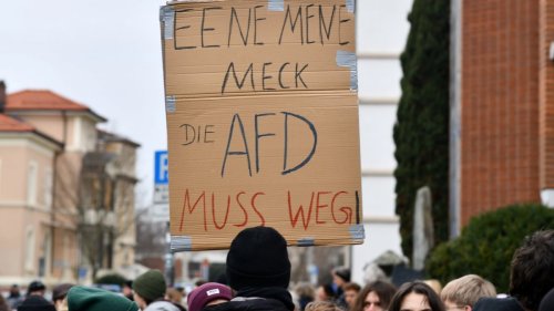 Bayerischer Verfassungsrichter sieht Pflicht zum AfD-Verbotsantrag