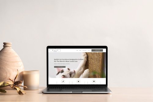 Website Design Port Macquarie | Website Design Agency