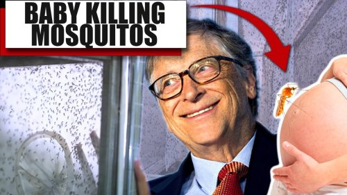 Bill Gates' Factory Breeding 30 Million Mosquitos Per Week Infected With 'Infertility Bacteria'