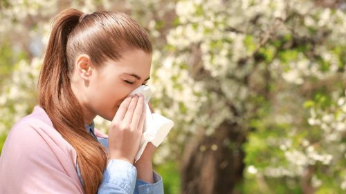 Allergie: Wie funktioniert die Hyposensibilisierung?
