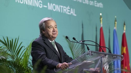 UN-Chef Guterres ruft zum „Friedensschluss mit der Natur“ auf