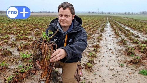 Niedersachsens Landwirte hadern mit Dauerregen und Hochwasser
