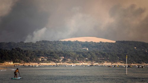 Waldbrände im Sommer 2022: wo Touristen mit Schäden rechnen müssen