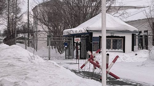 Nawalnys Tod: Haftbedingungen in der Strafkolonie „Polarwolf“
