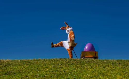Woher kommt der Osterhase? Ursprünge erklärt