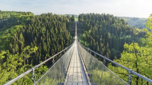 Das sind die 7 besten Hängeseilbrücken in Deutschland