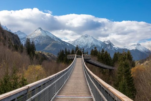 Baumwipfelpfad in der Nähe: Die 20 schönsten Ausflugsziele in Deutschland