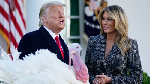Giftige Tweets zum Truthahn: Trumps wildes Thanksgiving-Fest