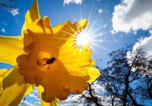 Frühling in Deutschland: Milde Temperaturen und Sonne – nachts droht Frost