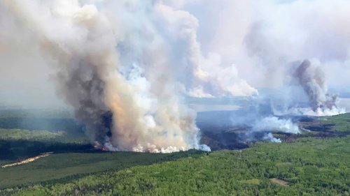 Waldbrand: So schadet der Rauch der Gesundheit