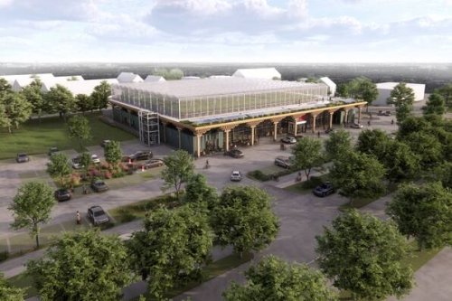 Berlin: Erste Dachfarm auf einem Rewe-Markt in Steglitz-Zehlendorf