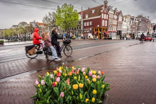 Regen in Amsterdam: Die besten Aktivitäten für schlechtes Wetter