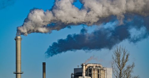 Nach Warnung des Expertenrates: Grüne drohen mit Blockade der Klimagesetzreform