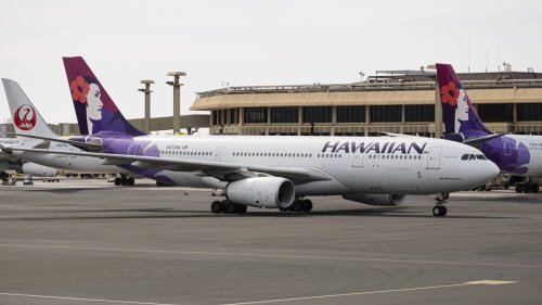 Hawaii: Flughafen wegen Bettwanzen teilweise geschlossen