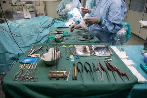 China: Forscher transplantieren Schweineniere bei Frau