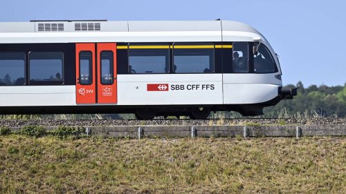 Kuriose Zugdurchsage: Lokführer bringt Reisende in Bahn zum Hüpfen