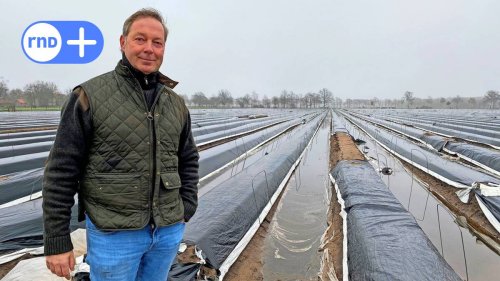 Felder unter Wasser: Gibt es dieses Jahr keinen lokalen Spargel zu Ostern?
