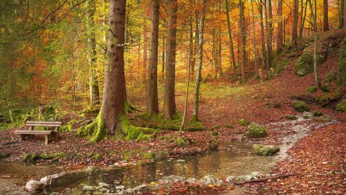 Indian Summer: 10 schöne Orte für einen Herbstausflug in Deutschland